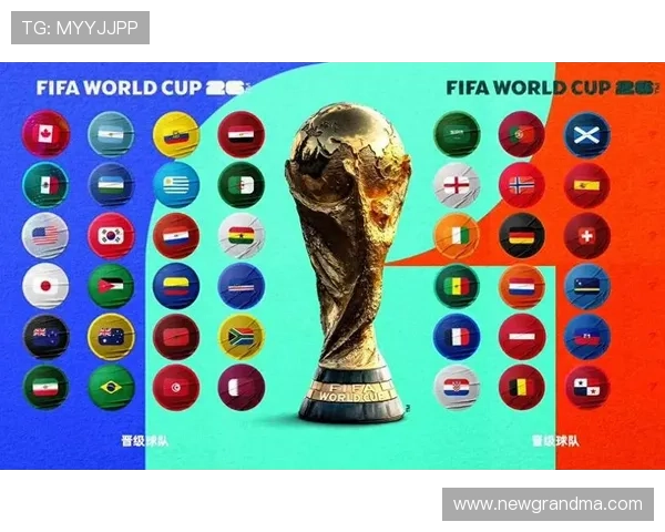 2026世界杯东道主球队谁的国际排名最高