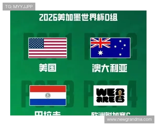 2026世界杯东道主球队球迷规模对比分析 2026世界杯东道主球队球迷规模对比分析